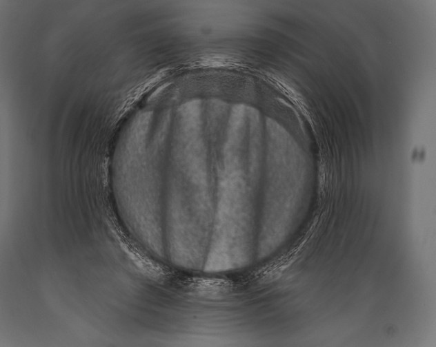 X0000088880401200706291608