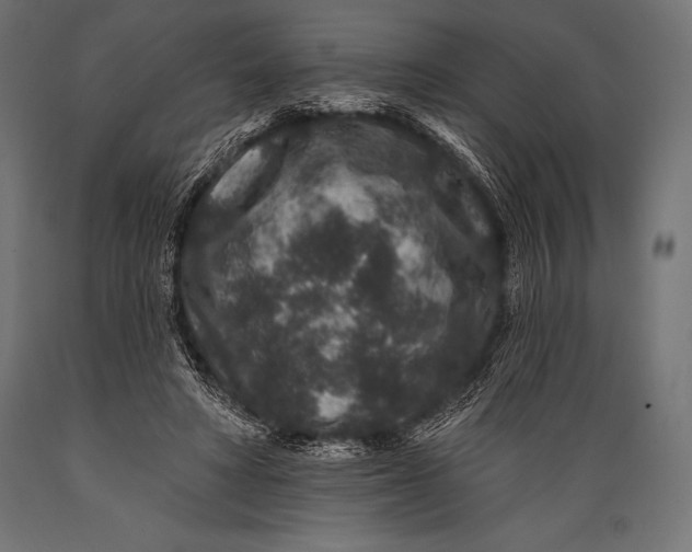 X0000088880402200706291608