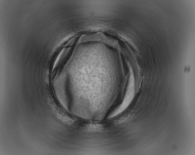 X0000088880403200706291608