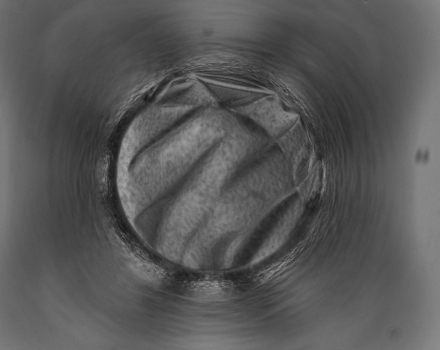 X0000088880404200706291608