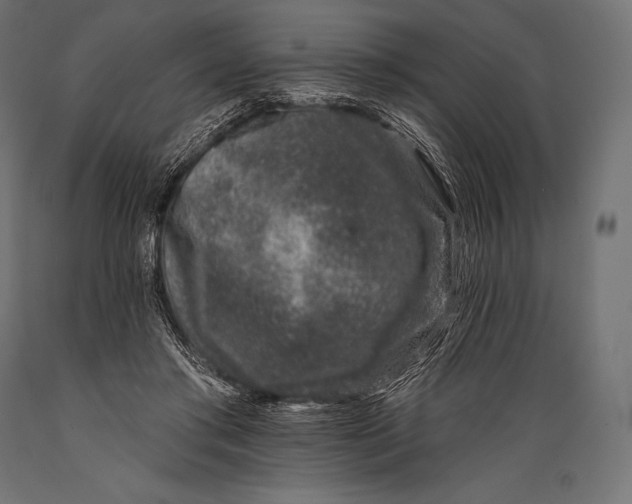 X0000088880405200706291608