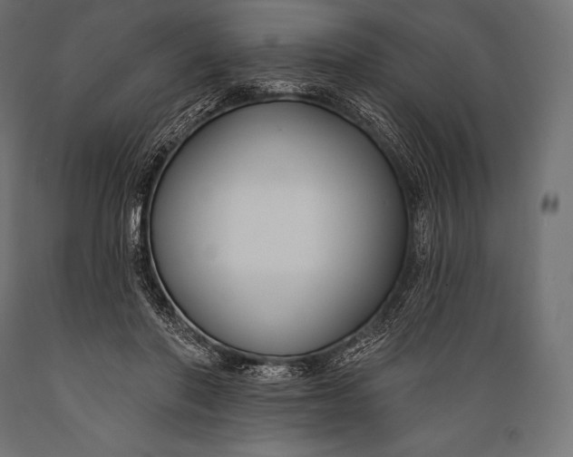 X0000088880406200706291608