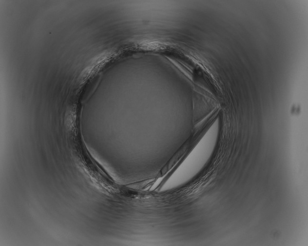 X0000088880407200706291608