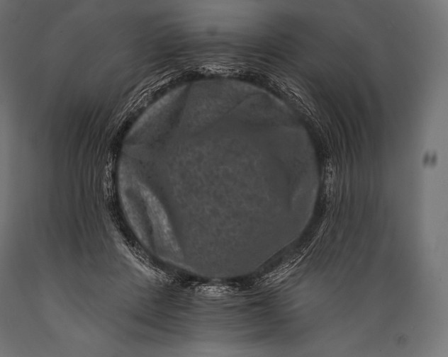 X0000088880408200706291608