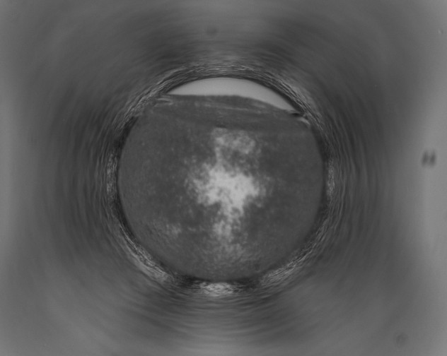 X0000088880409200706291608