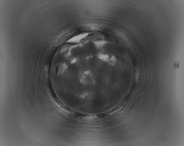 X0000088880410200706291608