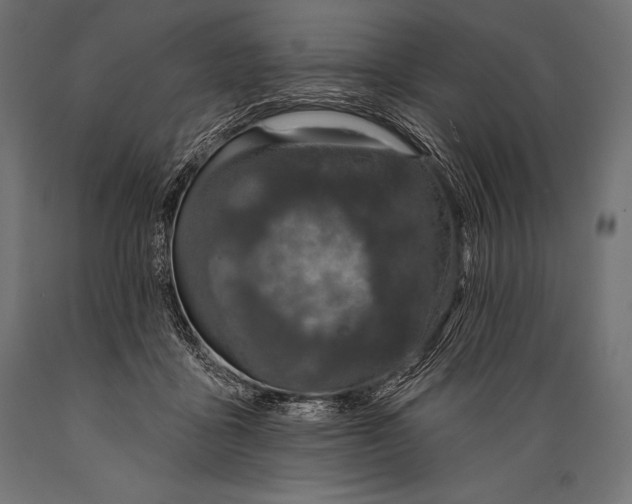 X0000088880411200706291608