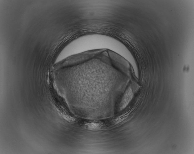 X0000088880412200706291608