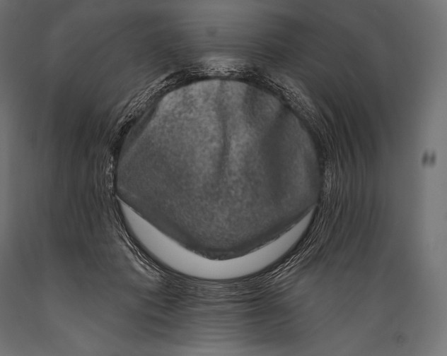 X0000088880413200706291608