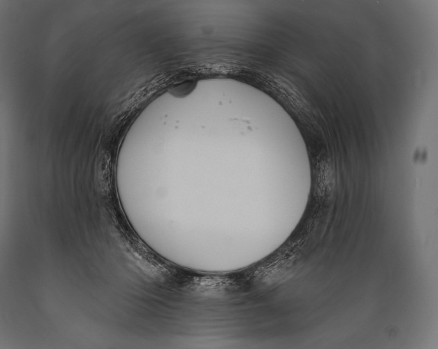 X0000088880414200706291608