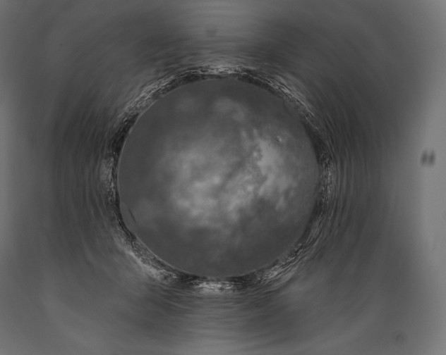 X0000088880415200706291608