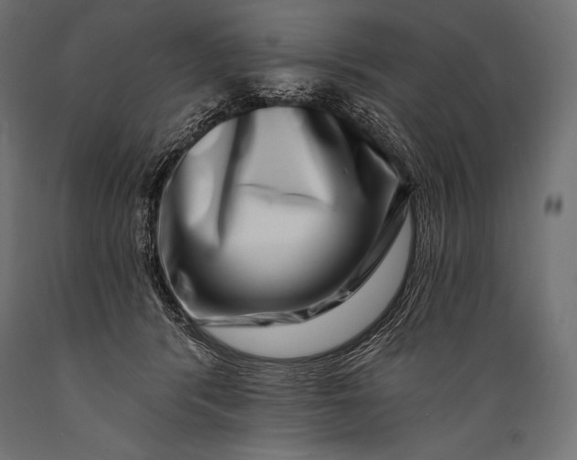 X0000088880416200706291608