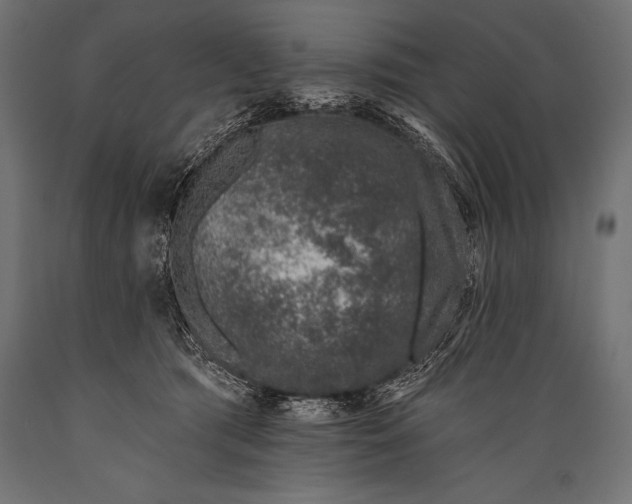 X0000088880417200706291608