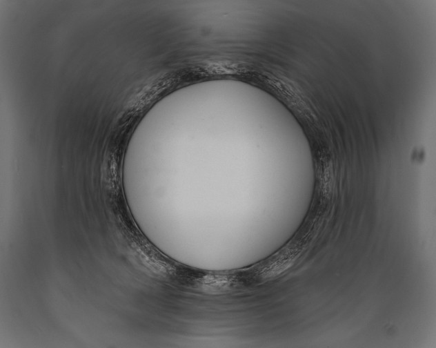 X0000088880418200706291608