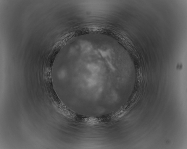 X0000088880419200706291608