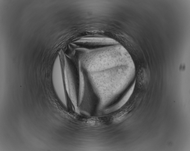 X0000088880420200706291608