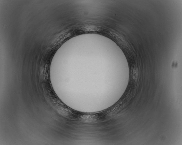 X0000088880422200706291608