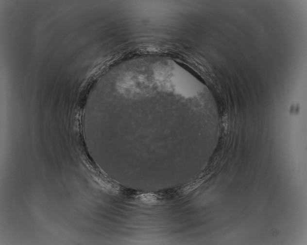 X0000088880423200706291608