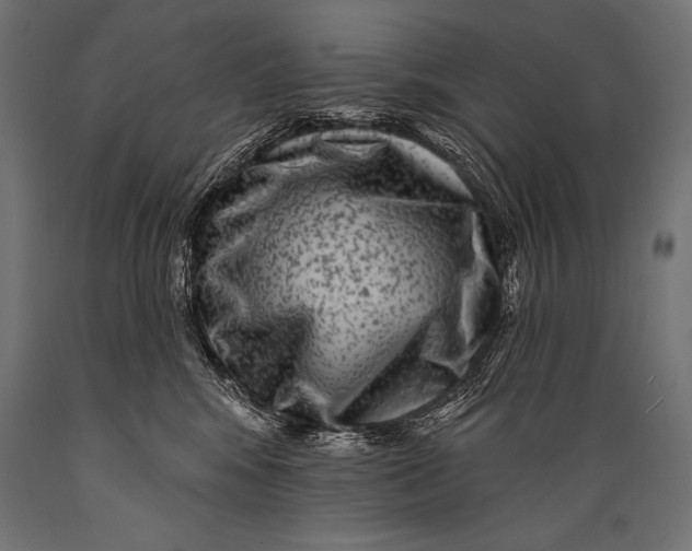 X0000088880424200706291608