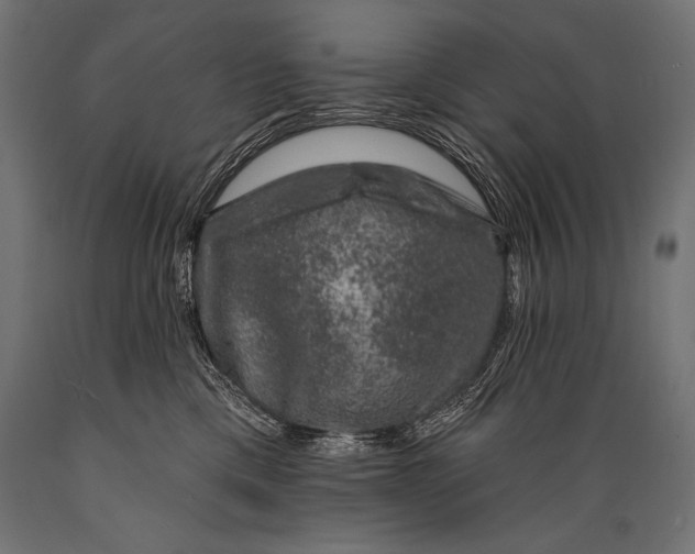 X0000088880425200706291608