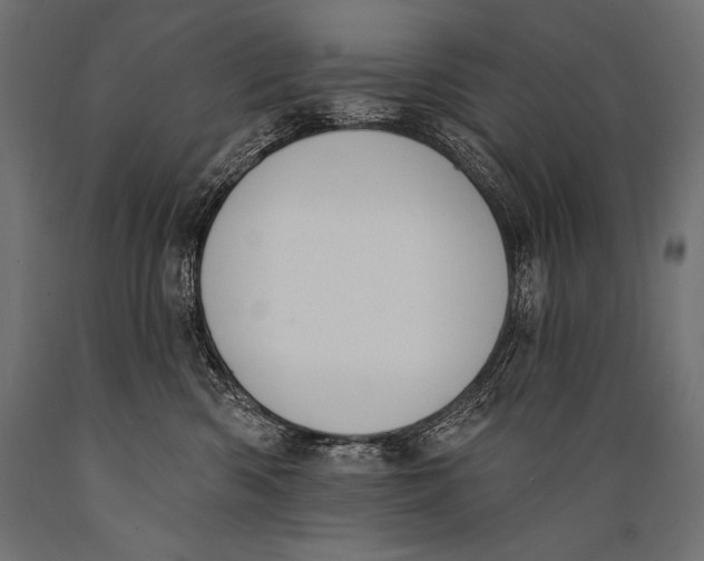 X0000088880426200706291608