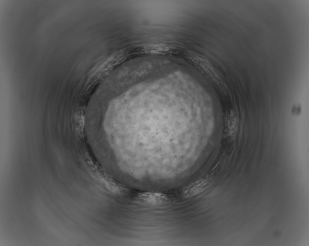 X0000088880427200706291608