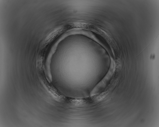 X0000088880428200706291608