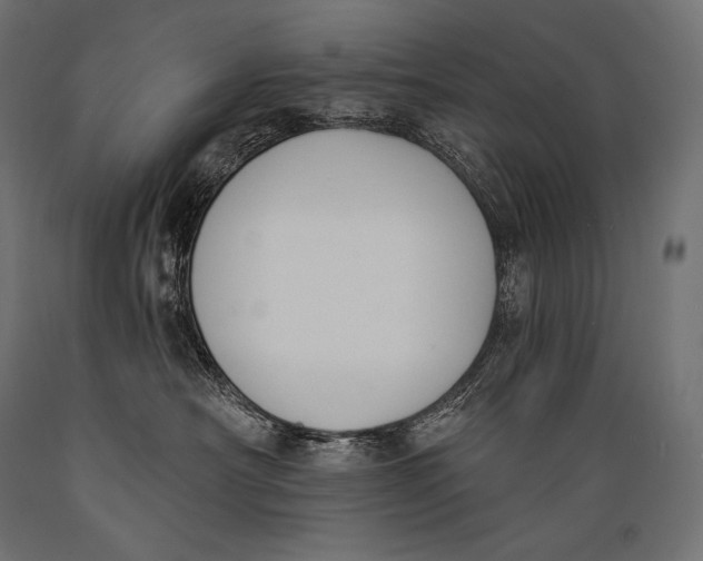 X0000088880430200706291608