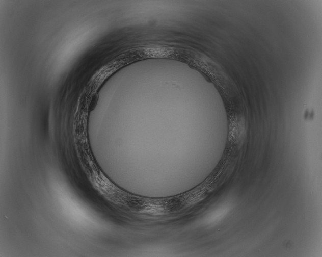 X0000088880431200706291608