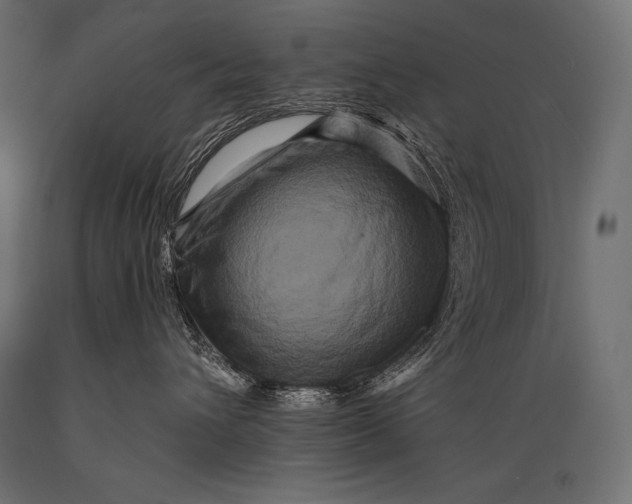 X0000088880432200706291608