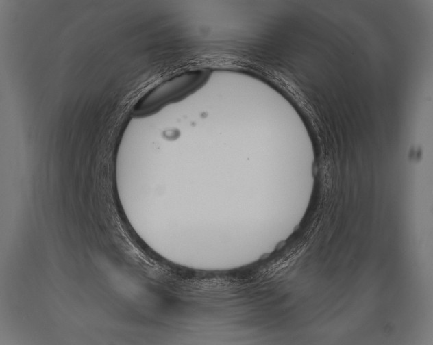 X0000088880433200706291607