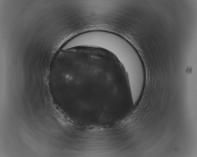 X0000088880434200706291607