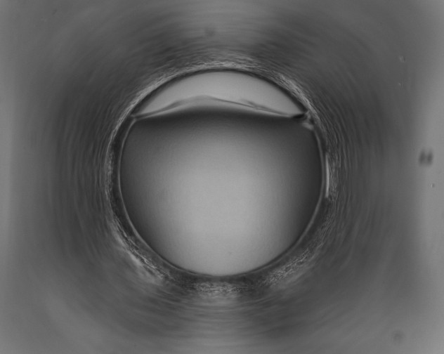 X0000088880435200706291607