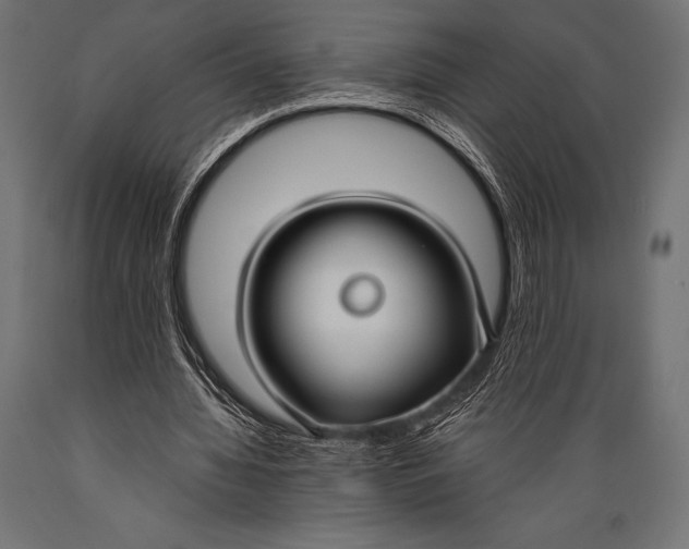 X0000088880436200706291607