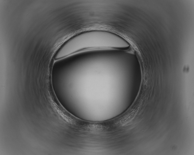 X0000088880437200706291607