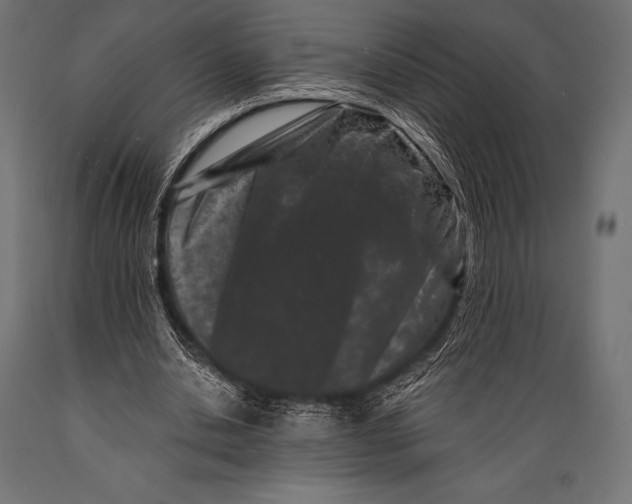 X0000088880438200706291607