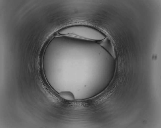 X0000088880439200706291607