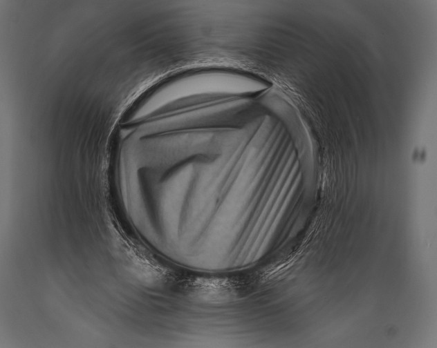 X0000088880440200706291607