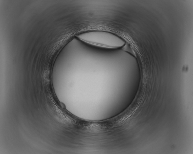 X0000088880441200706291607