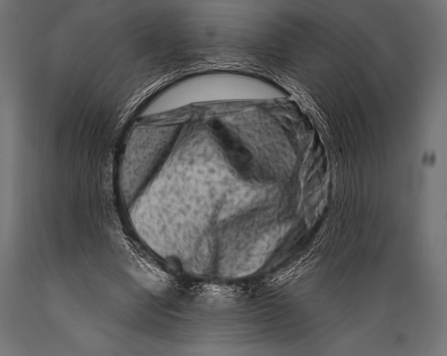 X0000088880442200706291607