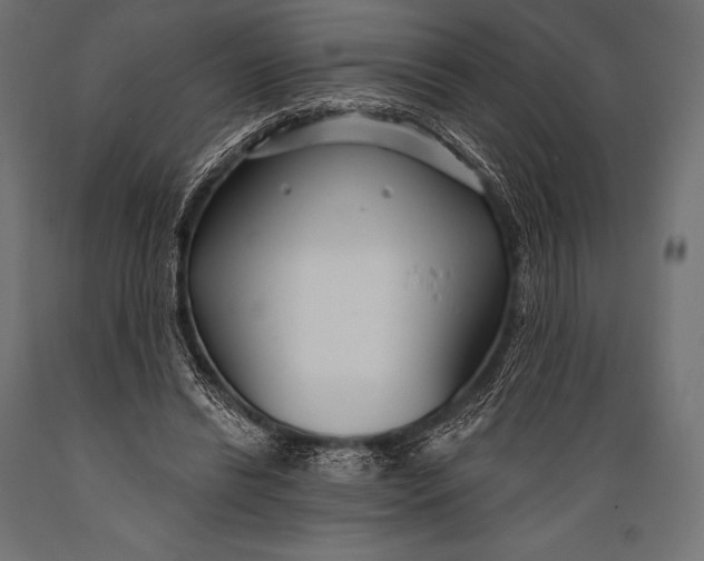 X0000088880446200706291607