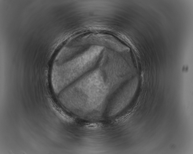 X0000088880447200706291607