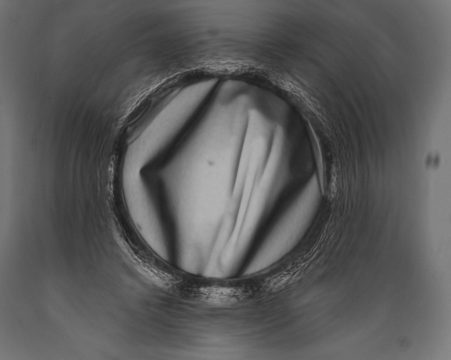 X0000088880448200706291607