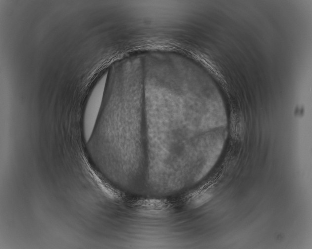 X0000088880449200706291607