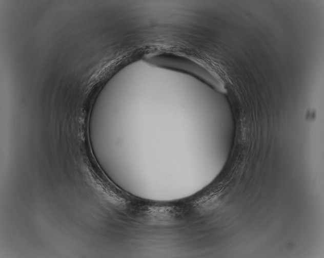 X0000088880450200706291607