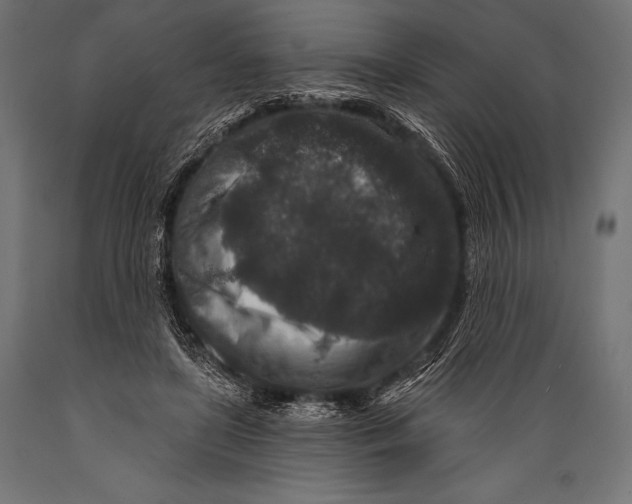 X0000088880451200706291607