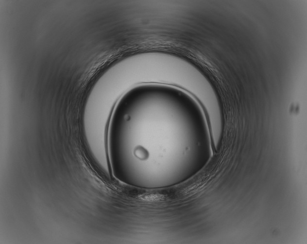 X0000088880452200706291607