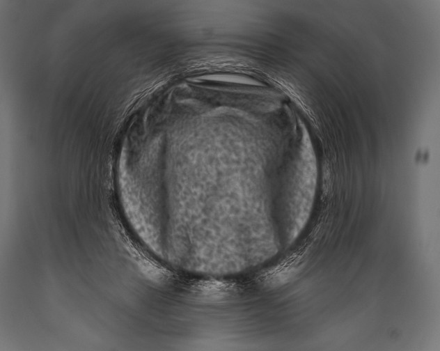 X0000088880453200706291607