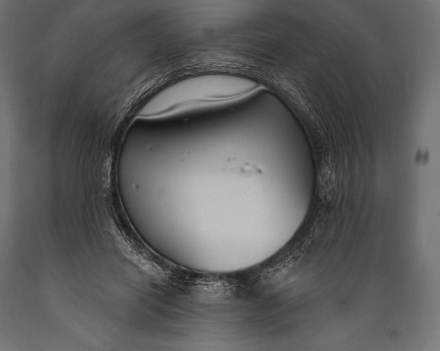 X0000088880454200706291607