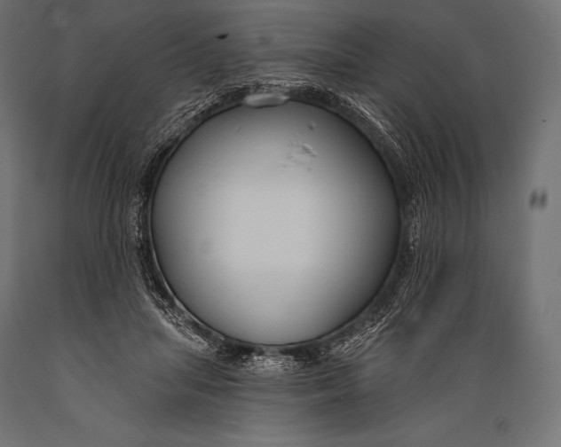 X0000088880455200706291607